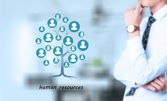 上国会培训：提升专业技能的首选平台